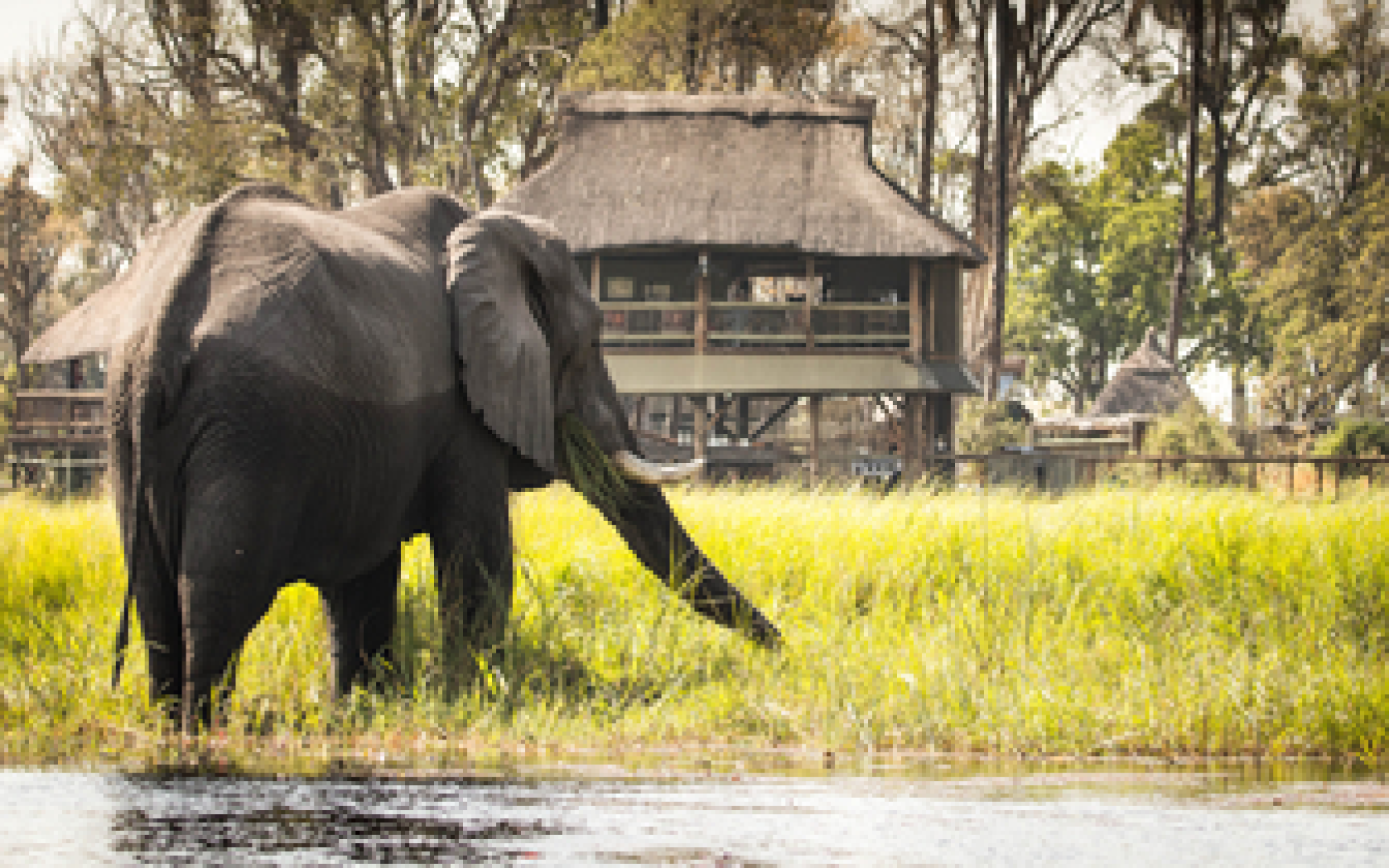 Moremi Crossing Safari Camp (Jul 2, 2026 &amp; Jul 5, 2026) | XL Boland Travel 
