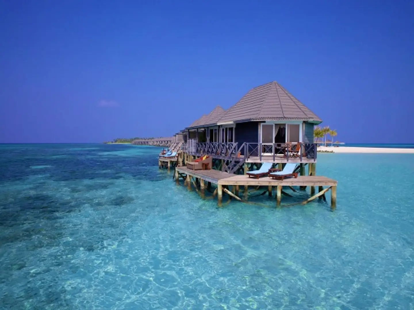 Kuredu Resort, Maldives (Sep 1, 2026 to Sep 30, 2026) | XL Boland Travel 
