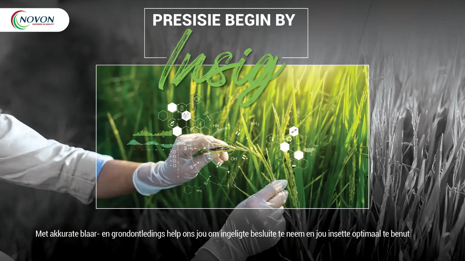 Presisie begin by insig | Novon