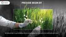 Presisie begin by insig | Novon