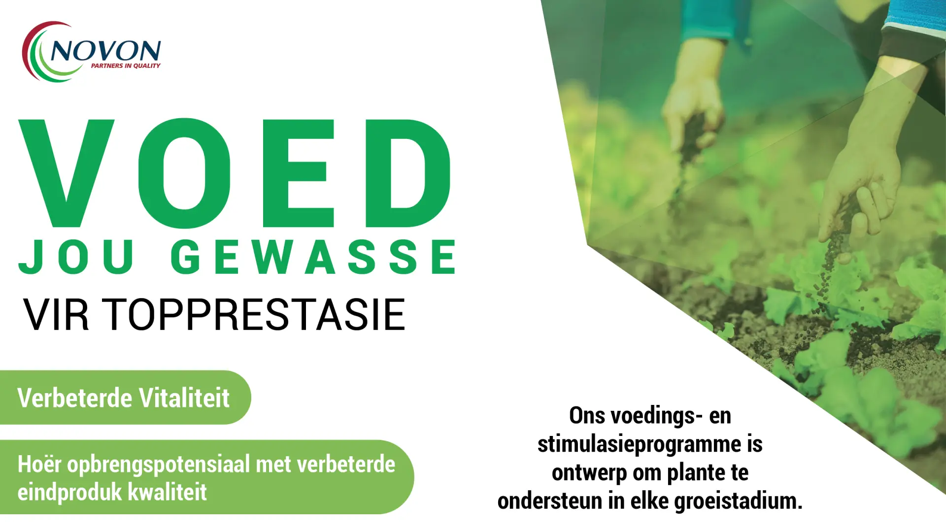 Voed jou gewasse vir topprestasie | Verbeterde vitaliteit | Novon