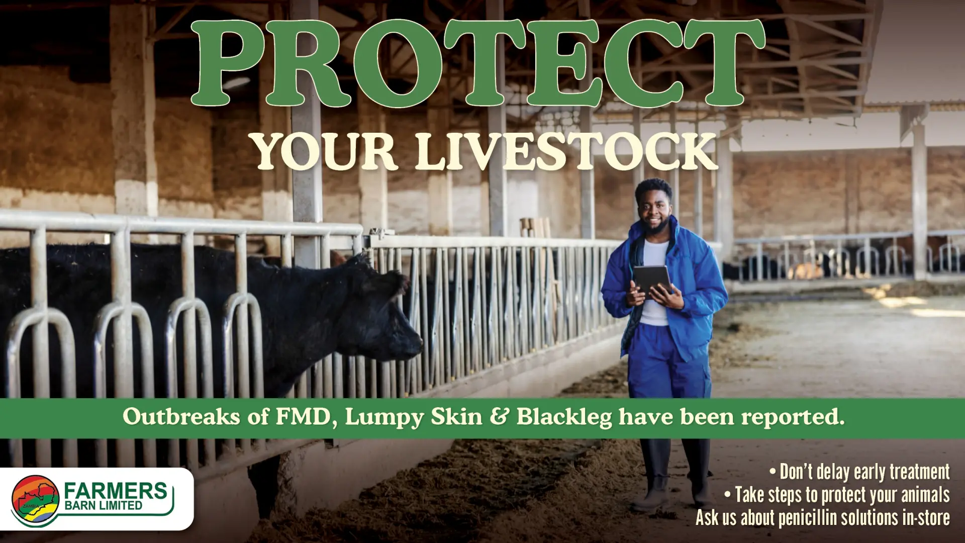 Protect your livestock, Penicillin solutions for FMD, lumpy skin and blackleg | Farmers Barn