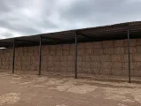Mieliereste