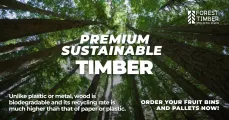 Premium Sustainable Timber | Forest Timber