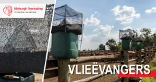 Vlieëvangers | Myburgh Toerusting