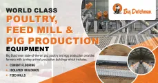 World Class Poultry, Feed Mill & Pig Production | Big Dutchman
